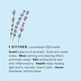 Ilmkjarnaolía lavender 12ml