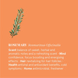 Ilmkjarnaolía rosemary 12ml  Lífrænt vottuð