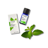 Spearmint Oil (Grænmynta)   Lífræn 12ML