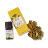 Vanilla CO2 Extract (20% í jojoba olíu) (Lífræn, Fair Trade)