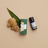 Ilmkjarnaolía: Engifer olía (lífræn) 12ml
