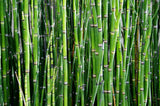 Bambus smjörhnífur