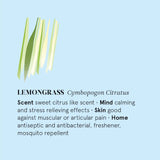 Ilmkjarnaolía lemongrass 12ml